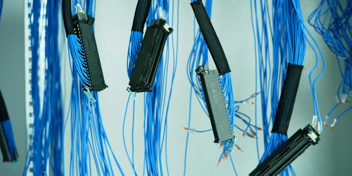 Close-up of blue ethernet cables hanging in a data center, highlighting technology connections.