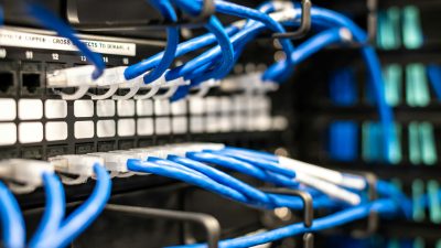 Blue plastic wires with white tips connected to server and provide access to information